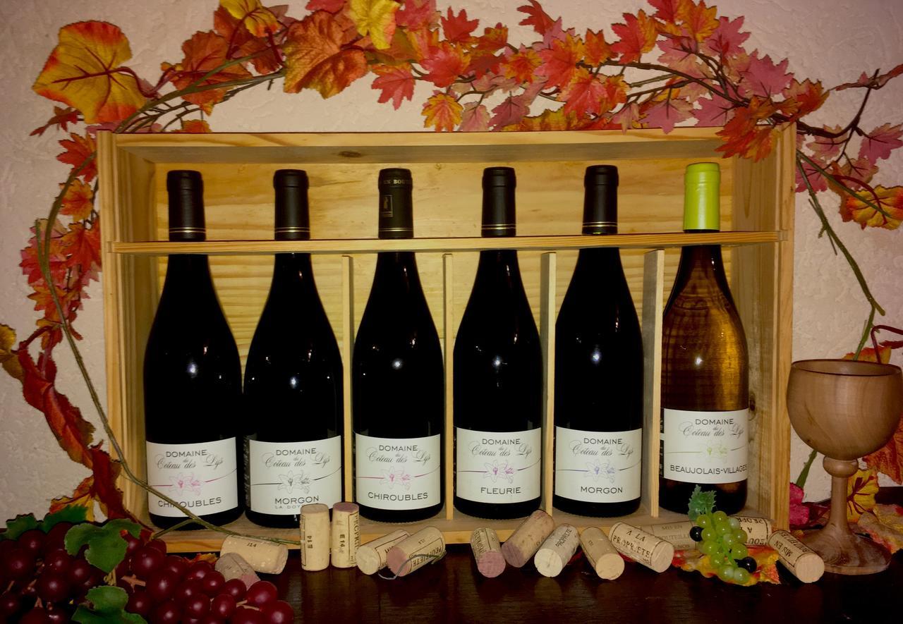 Domaine Du Coteau Des Lys Hotel Fleurie Luaran gambar