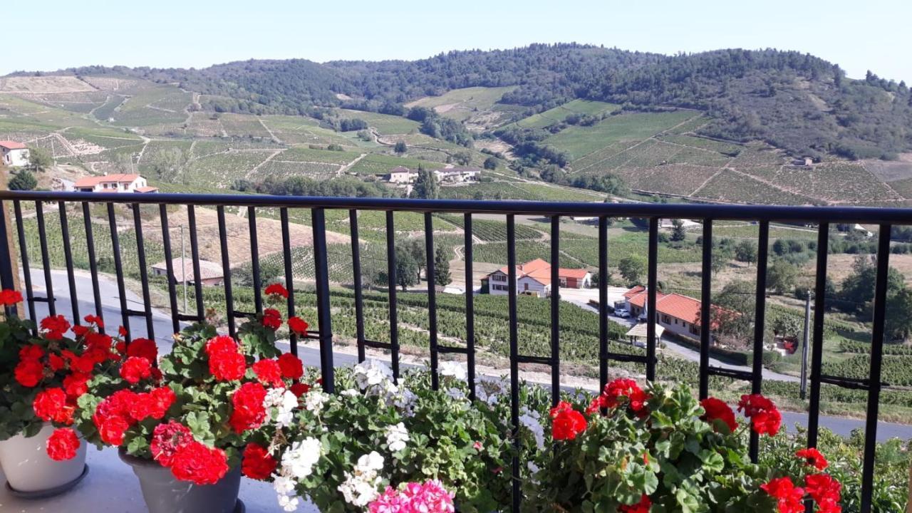 Domaine Du Coteau Des Lys Hotel Fleurie Luaran gambar