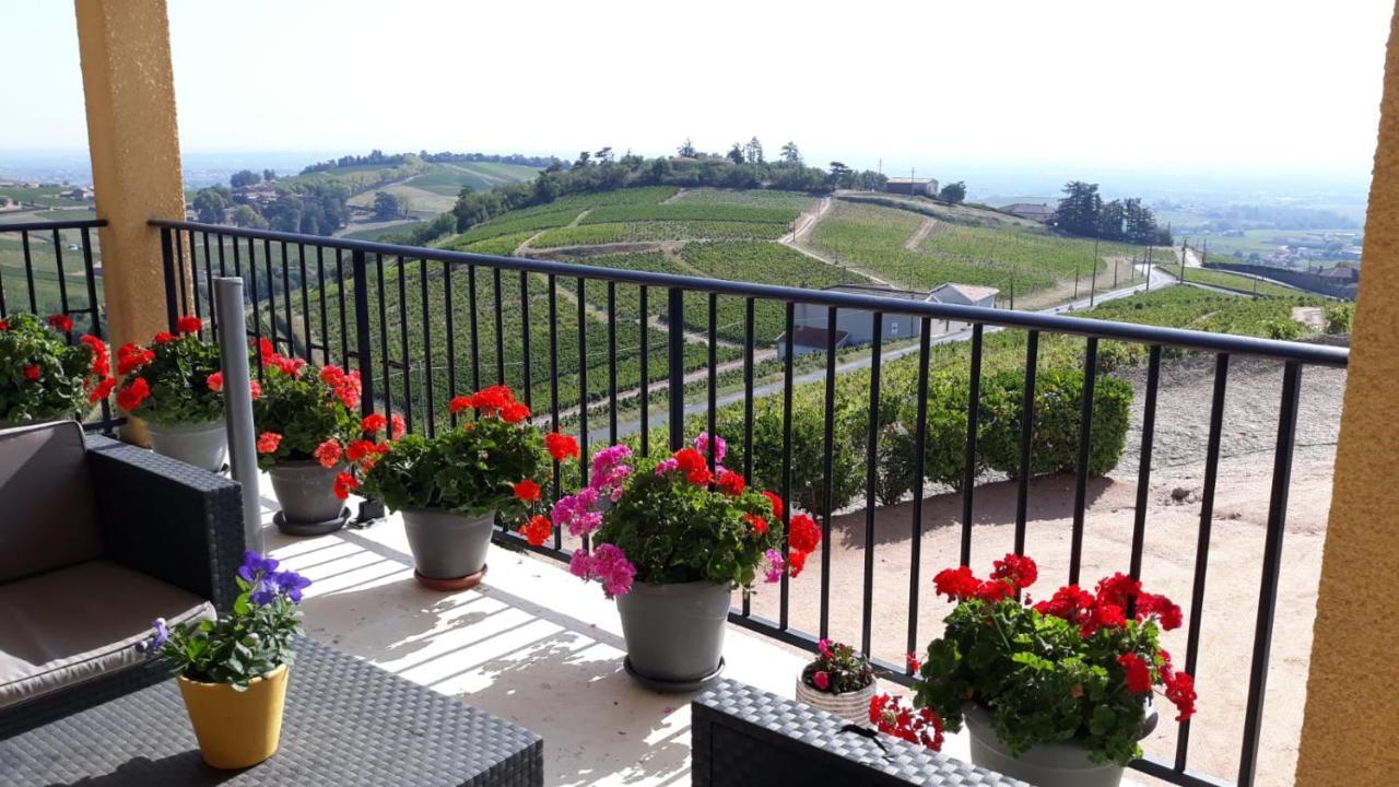 Domaine Du Coteau Des Lys Hotel Fleurie Luaran gambar